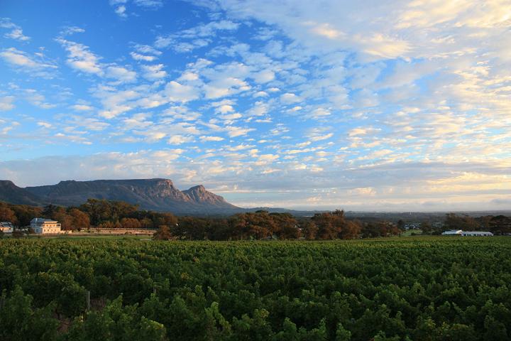 Winelounge reúne produtores de vinhos do Velho e Novo Mundo no MAM