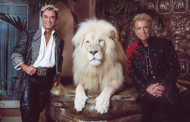 Os donos dos leões brancos