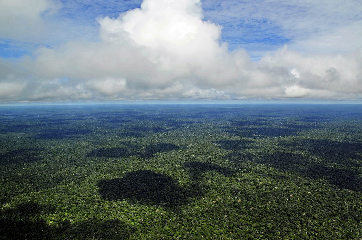 Ator irlandês Stephen Rea lança documentário sobre a Amazônia